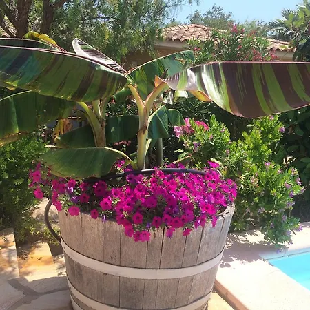 Studio Marina Rossa Porto-Vecchio (Corsica)